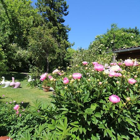Bed and Breakfast La Chaumiere Du Tordoir Les Rues-des-Vignes Exterior foto